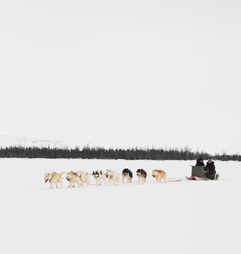 Traîneau à chien près du Centre de santé Tulattavik de l'Ungava