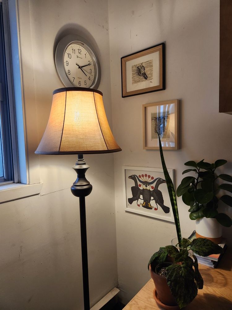 Accueil psychosocial intake web 7